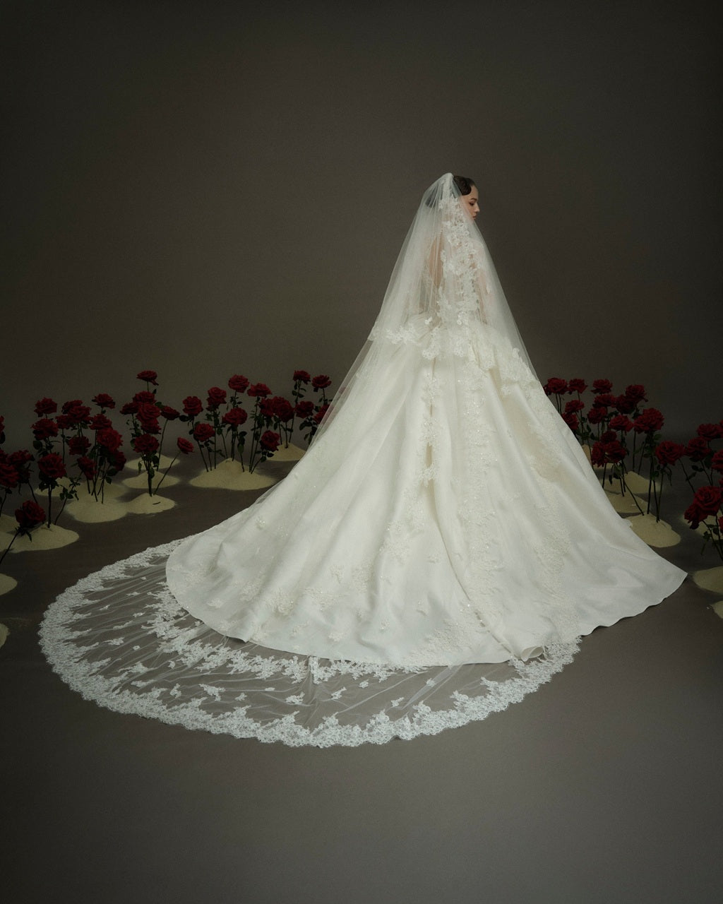 Long Sleeve Lace Ball Gown Wedding Dress