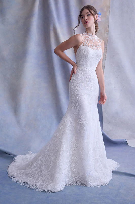 Halter Neckline Wedding Dresses Chic & Modern Bridal Gowns Bridal and Formal Halter Neckline Wedding Dresses Chic & Modern Bridal Gowns Bridal and Formal